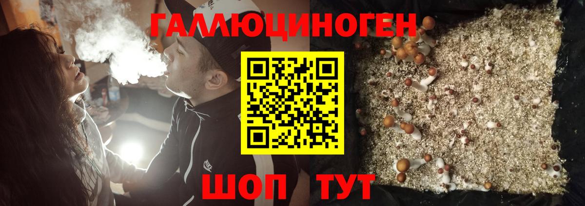 Муравленко  Псилоцибиновые грибы Magic Shrooms  Вход с VPN  Галлюциногенные грибы Magic Shrooms 